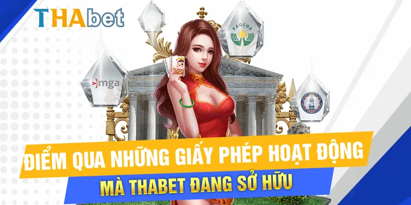 Điểm qua những giấy phép hoạt động mà Thabet đang sở hữu