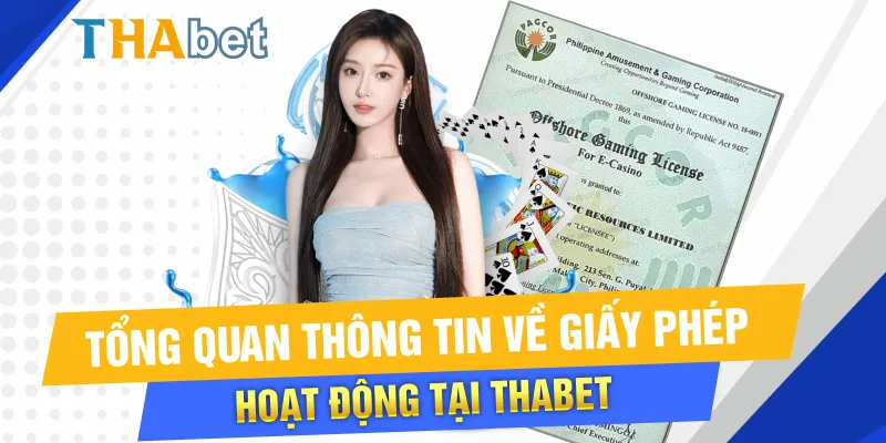 Tổng quan về giấy phép hoạt động Thabet